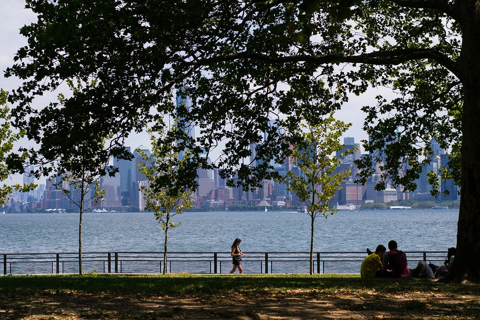 A picture of part of NYC's skyline and Hudson river, shot from a park.