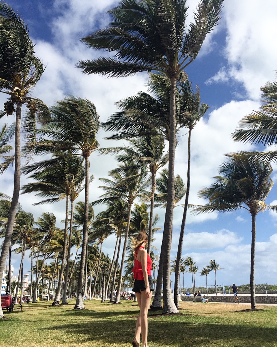 Vanessa posing in front of some palm trees that are swaying in the wind