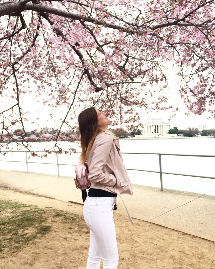 Vanessa under a huge, blooming cherry blossom tree in Washington, D.C. .